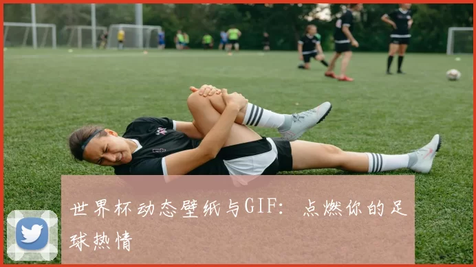 世界杯动态壁纸与GIF：点燃你的足球热情