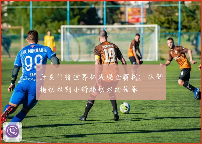丹麦门将世界杯表现全解析:从舒梅切尔到小舒梅切尔的传承