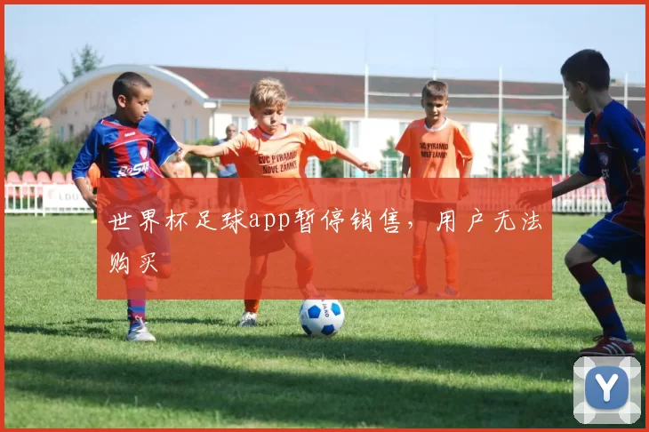 世界杯足球app暂停销售，用户无法购买
