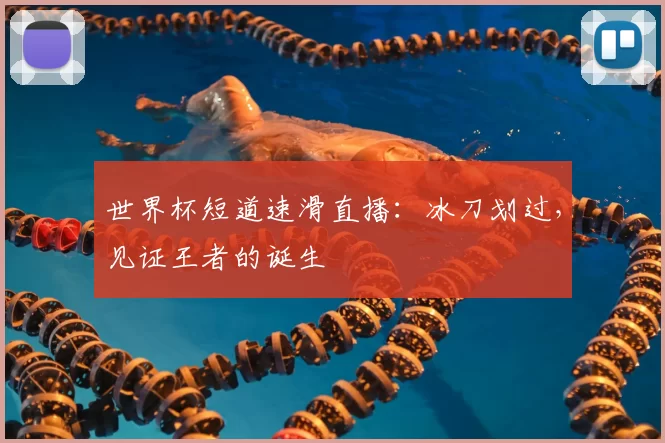 世界杯短道速滑直播：冰刀划过，见证王者的诞生