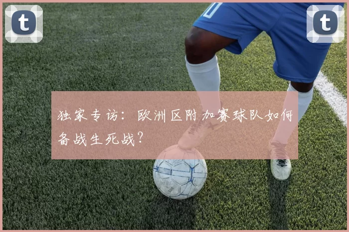 独家专访:欧洲区附加赛球队如何备战生死战?