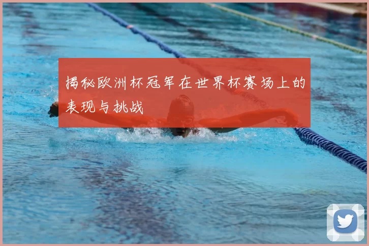 揭秘欧洲杯冠军在世界杯赛场上的表现与挑战