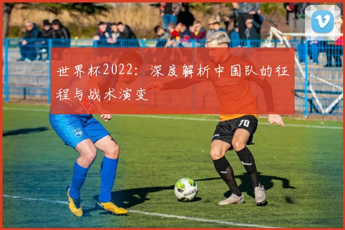 世界杯2022：深度解析中国队的征程与战术演变