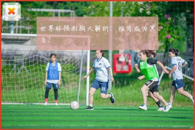 世界杯预测胸大解析：谁将成为黑马？