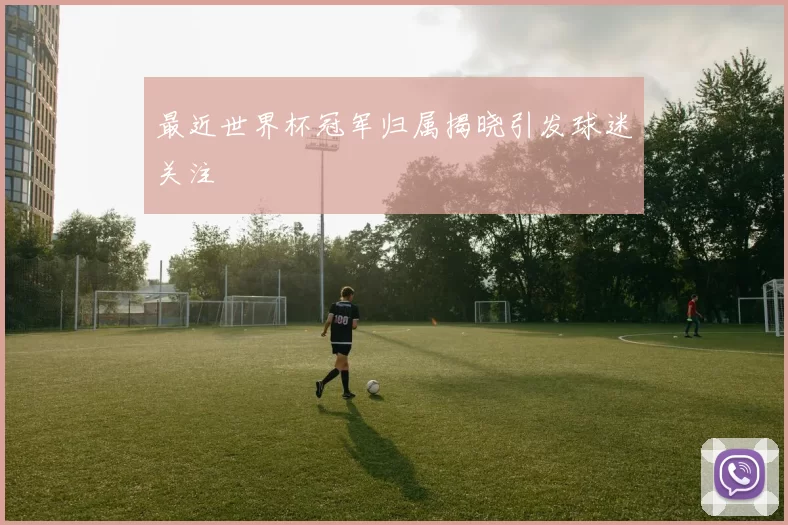 最近世界杯冠军归属揭晓引发球迷关注