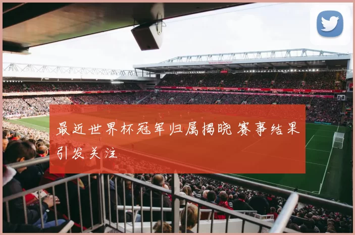 最近世界杯冠军归属揭晓 赛事结果引发关注