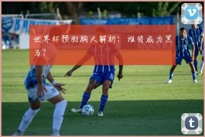 世界杯预测胸大解析：谁将成为黑马？