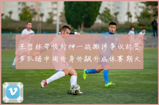 王哲林带伤封神一战撕掉争议标签多队暗中询价身价飙升成休赛期大鱼