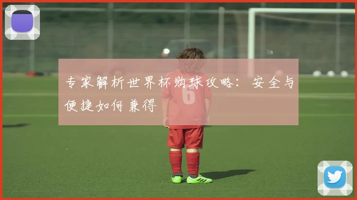 专家解析世界杯购球攻略：安全与便捷如何兼得