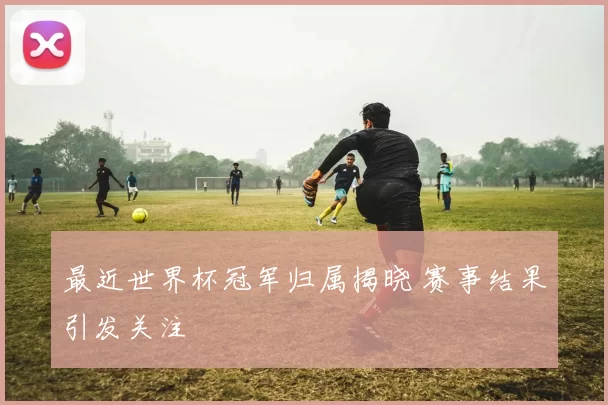最近世界杯冠军归属揭晓 赛事结果引发关注