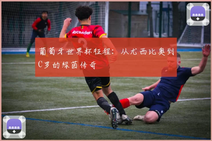葡萄牙世界杯征程:从尤西比奥到C罗的绿茵传奇