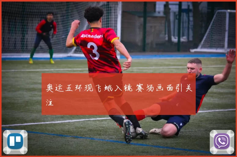 奥运五环现飞蛾入镜 赛场画面引关注