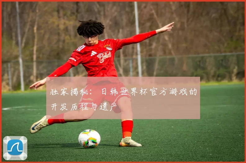 独家揭秘：日韩世界杯官方游戏的开发历程与遗产