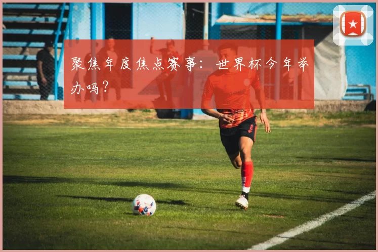 聚焦年度焦点赛事：世界杯今年举办吗？