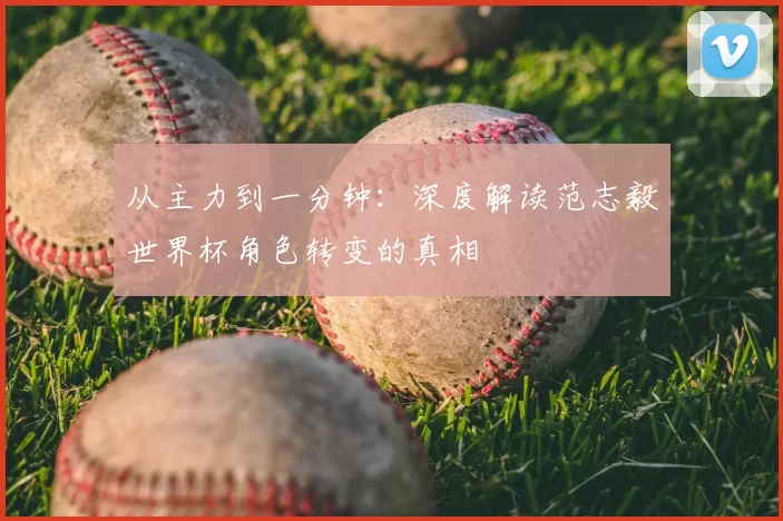 从主力到一分钟：深度解读范志毅世界杯角色转变的真相